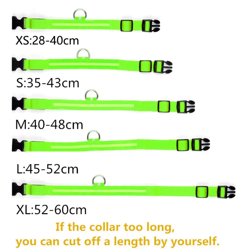 LED Luminous Pet Dog Collar