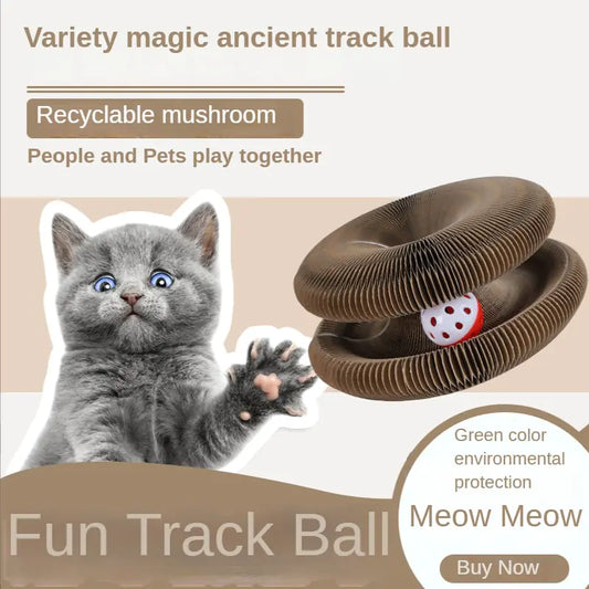 Cat Magic Scratch Board Toy