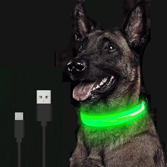 LED Luminous Pet Dog Collar