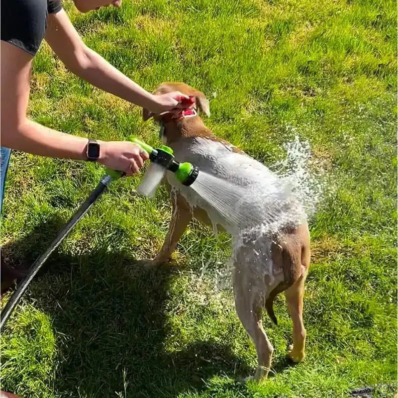 Dog Pet Spa Water Jet