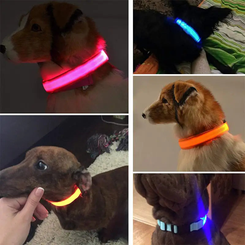 LED Luminous Pet Dog Collar