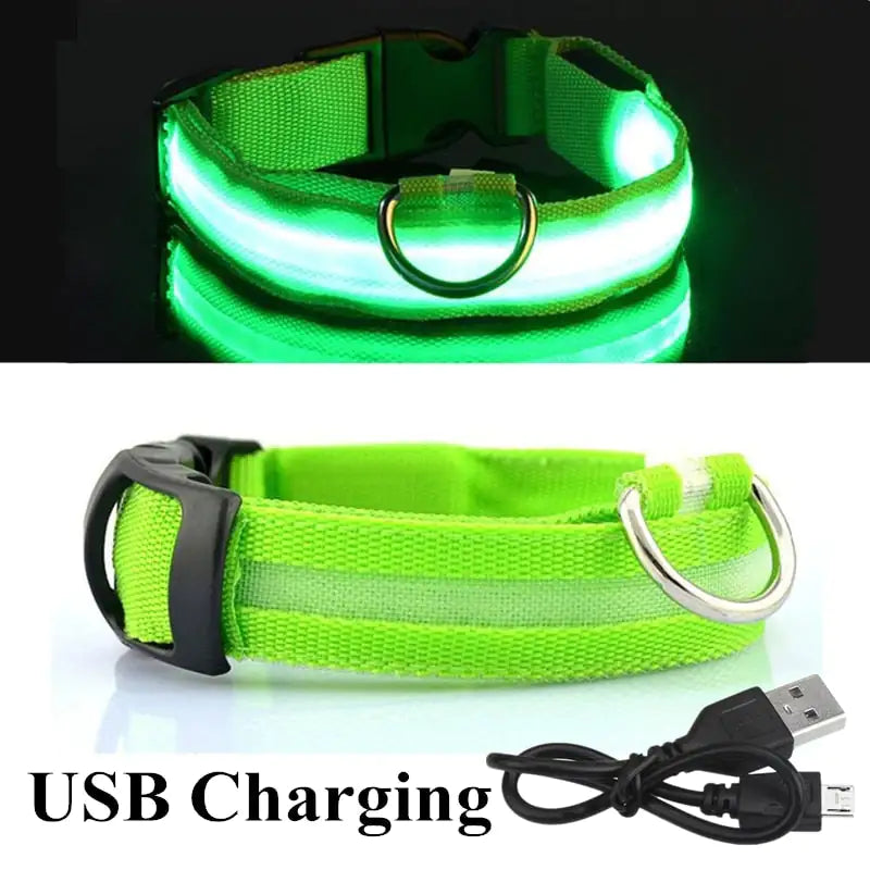 LED Luminous Pet Dog Collar